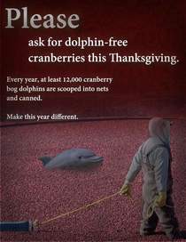 Please remember this Thanksgiving