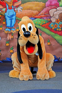 Pluto no Bad Dog
