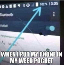 Pockets and phones