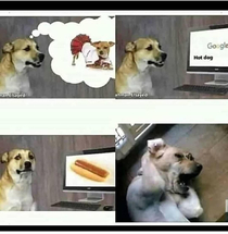 Poor Doggo