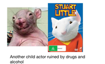 Poor Stuart little