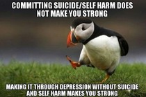 Praising people who committed suicide just leads to others justifying suicide for themselves