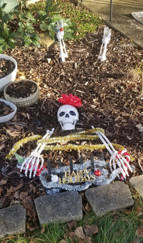 Pro Tip If you leave your Halloween decorations up long enough eventually theyll become Christmas decorations