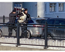 Proof that the Norwegian police is more efficient than the British police