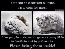 PSA With the cold weather approaching most of the nation lets not forget about our furry friends