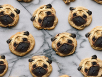 Pug Cookies