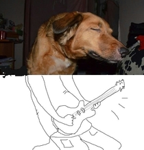 Puppy rock star