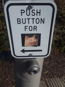 Push button for CAT