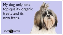 Quality organic treats and