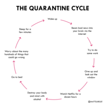 Quarantine cycle