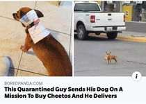 Quarantined Man Sends Dog to Store With Note For Cheetos Dog Delivers