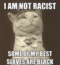 Racist Kitty 