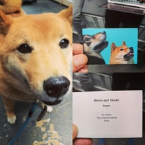 Ran into a guy on a conference with a doge He handed me this business card and told me he worked for a bank Then he left