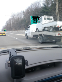 Rare sighting of a mother truck carrying her baby