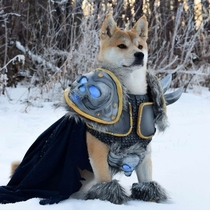 Ready for Battle x-post rShibes