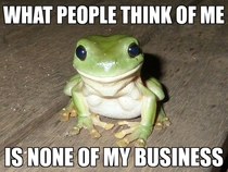 Realizing this has improved my outlook tremendously Can we have Self-Affirmation Frog