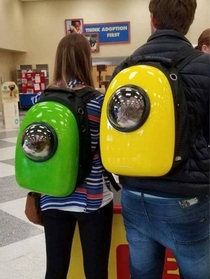 Redditor backpacks