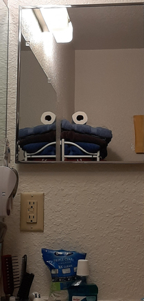 Reflection view from toilet looks like cookie monster
