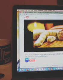 Relaxing music for cats