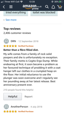 Review on a toilet plunger