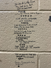Reviews of the Bathroom Stall written on the wall