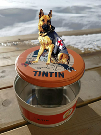 Rin Tin Tin on the Tintin tin with a tin in it and tint on the tin in the Tintin tin