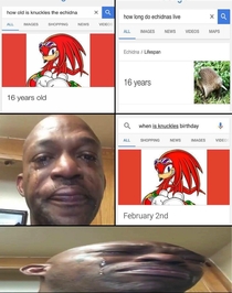 Rip knuckles 