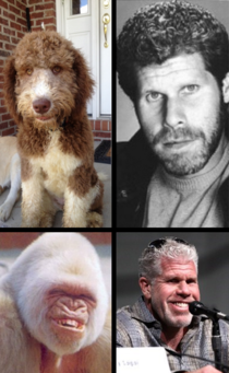 Ron Perlman then and now