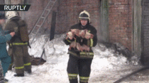 Russian fireman walks out with the piglets he saved from a fire