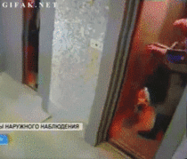 Russian man reacts quickly to save a dog from an elevator
