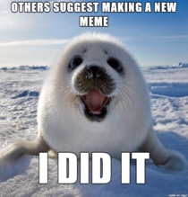 Saw this pic on another sub and knew it needed to become a meme I give you Seal of Approval