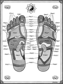 Scientists have confirmed that reflexology has a real basis in science and released a true map of the foot