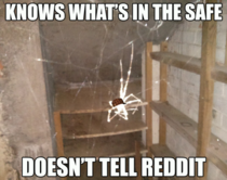 Scumbag Safe Spider