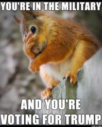 Second-Hand Embarrassment Squirrel Is Disgusted