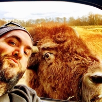 Selfie with a Bison