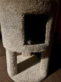 Selling cat tower - gently used