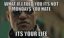 seriously can we stop with this whole hating mondays thing