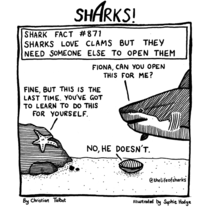 Sharks Clams