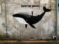 Shave the whales street art