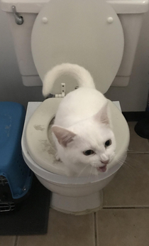 She wasnt a fan of being toilet trained