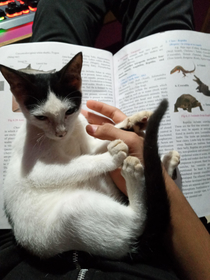 She wont let me study for my test