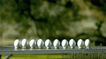Shooting a bullet through  eggs at  frames per second