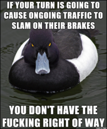Sick of almost being killed while passing through a green light