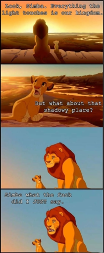 Simba what the fuck did I just say
