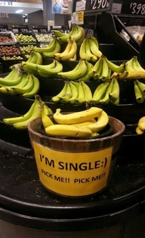 Single Bananas