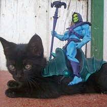Skeletor has taken over the Battle Cat