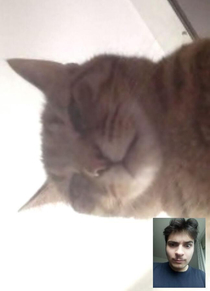 Skype called my father during quarantine this is what I saw when he picked up