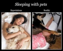 Sleeping with pets