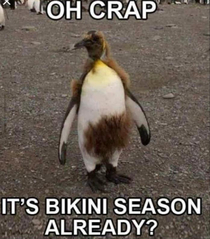 Sneaky bikini season
