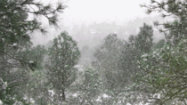 Snowing in Colorado on New Years Day